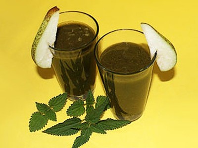 Rezept für Wildkräuter Smoothie