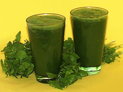 Grüner Smoothie aus Wildkräutern und Gurke