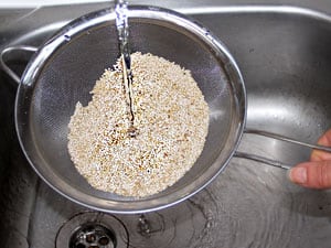 Quinoa