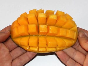 Mango Igel