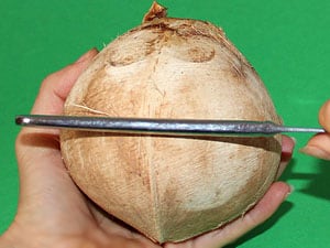 junge Kokosnuss öffnen