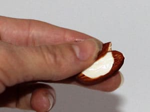 Rezept für Marzipan