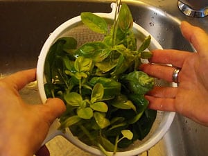 Rohkost-Rezept für ein Basilikum-Walnuss-Pesto