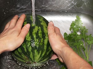 Wassermelonen Smoothie